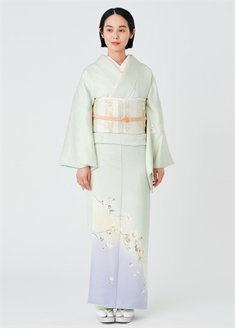 Kimono(formal)