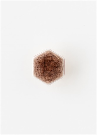 Obidome