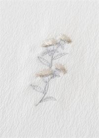 Han-eri collar