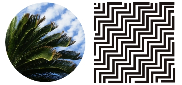 Sotetsuba (Sago Palm Leaf)